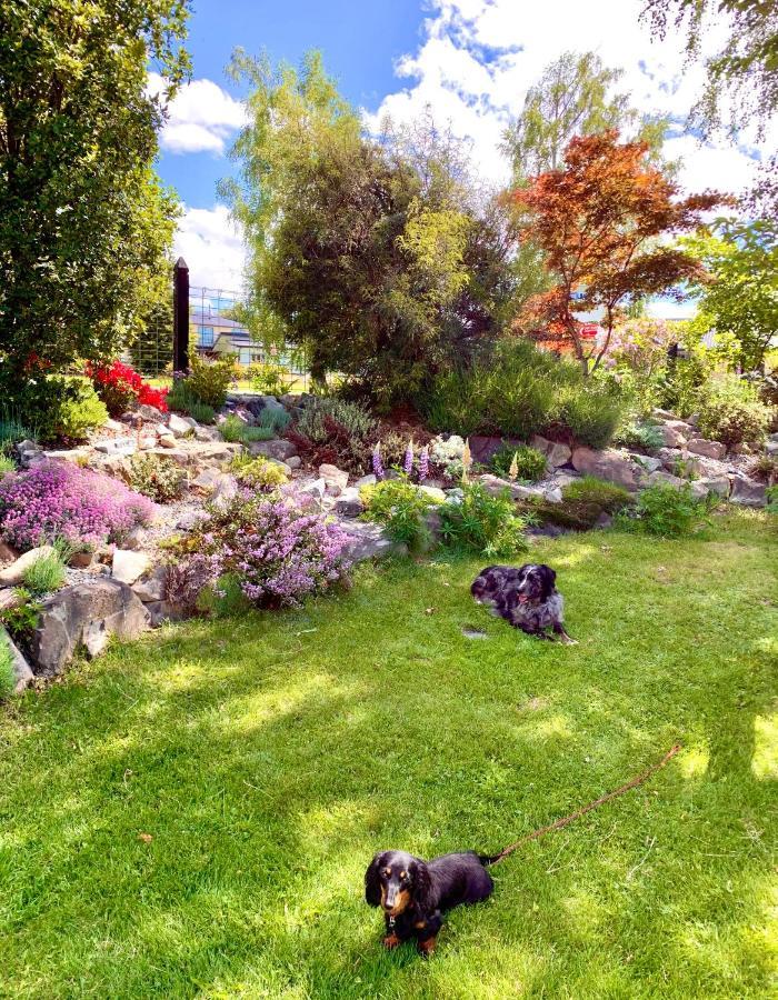 אגם טקפו Tailor Made Tekapo Accommodation - Hostel מראה חיצוני תמונה