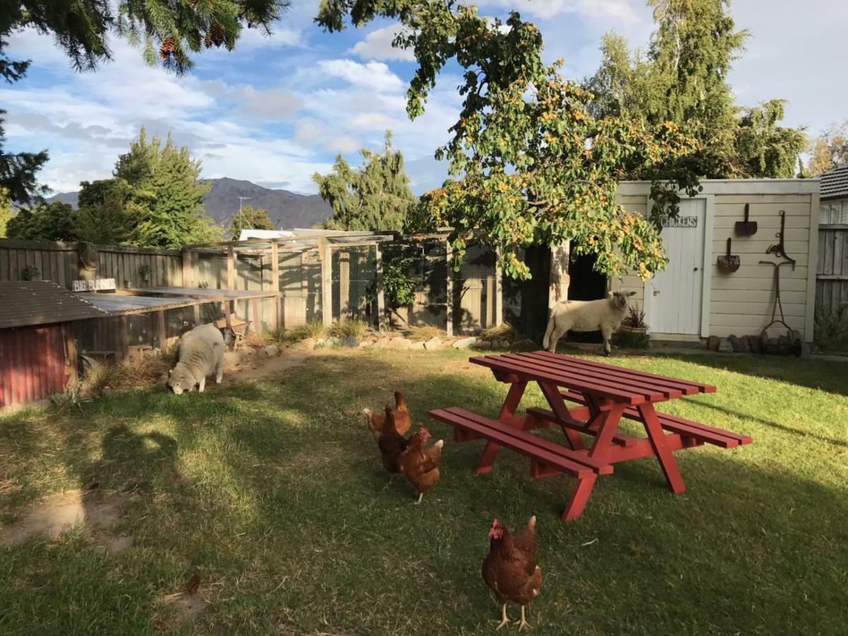 אגם טקפו Tailor Made Tekapo Accommodation - Hostel מראה חיצוני תמונה