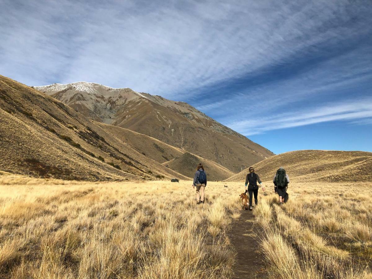 אגם טקפו Tailor Made Tekapo Accommodation - Hostel מראה חיצוני תמונה