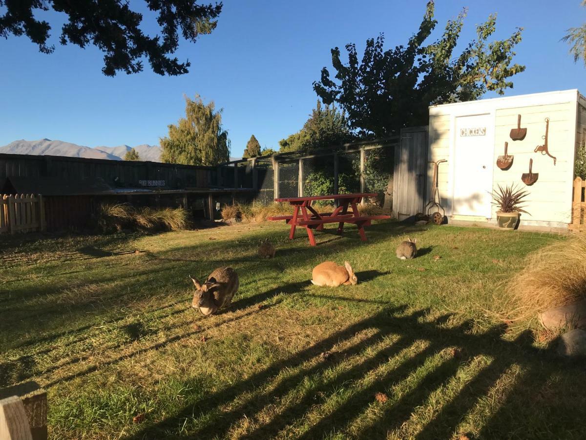 אגם טקפו Tailor Made Tekapo Accommodation - Hostel מראה חיצוני תמונה